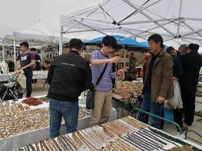 阿拉善展会爆料信息最新,绿色科技盛宴即将启幕 第2张 阿拉善展会爆料信息最新,绿色科技盛宴即将启幕 第2张